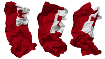 Tonga Flag Waves Isolated in Different Styles with Bump Texture, 3D Rendering png