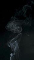 langzaam beweging verticaal video van wit rook, mist, de nevel, damp Aan een zwart achtergrond.