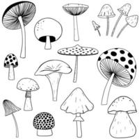 Set of mushrooms. Vector sketch illustration