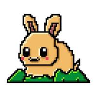 pixel art cute bunny on the grass vector