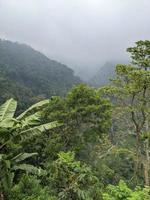 paisaje foto de montaña con empañamiento bosque y nublado cielo. el foto es adecuado a utilizar para clima cambios póster y naturaleza antecedentes.