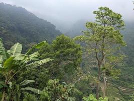 Landscape photo of mountain with fogging forest and cloudy sky. The photo is suitable to use for climate changes poster and nature background.