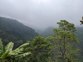 Landscape photo of mountain with fogging forest and cloudy sky. The photo is suitable to use for climate changes poster and nature background.