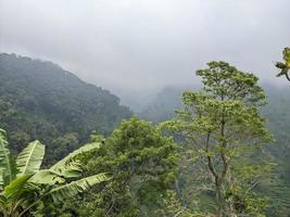 Landscape photo of mountain with fogging forest and cloudy sky. The photo is suitable to use for climate changes poster and nature background.