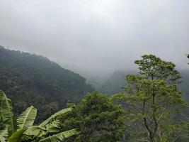 paisaje foto de montaña con empañamiento bosque y nublado cielo. el foto es adecuado a utilizar para clima cambios póster y naturaleza antecedentes.