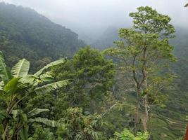 Landscape photo of mountain with fogging forest and cloudy sky. The photo is suitable to use for climate changes poster and nature background.