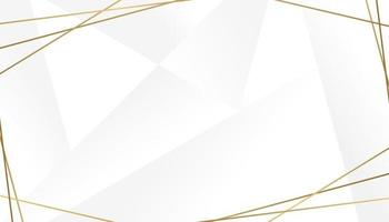 Luxury Gold Geometric line border on white background vector