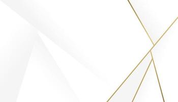 Luxury Gold Geometric line border on white background vector