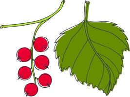 Red currant with a leaf. Vector image in the style of a doodle.