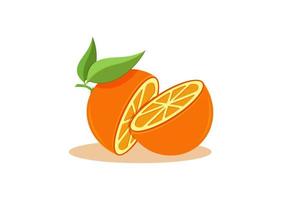 Orange Cut in Half on white Background Vector Illustration