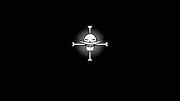 Symbol of pirate flag for wallpaper vector