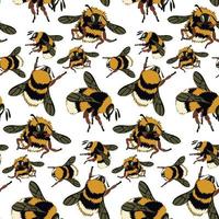 A pattern with an image from a honey bee. Fluffy bees, bumblebees in different poses fly on a white background. natural background with bees. Large and small insects. Printing on textiles and paper vector