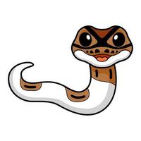 Cute pied ball python cartoon vector