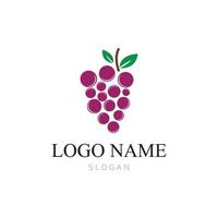 Grapes vector icon illustration design