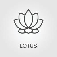 Lotus icon or Harmony icon vector