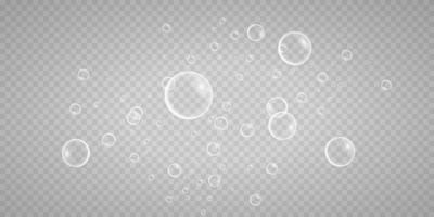 Colorful soap bubbles. Isolated, transparent, realistic soap bubbles. vector