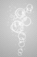 Colorful soap bubbles. Isolated, transparent, realistic soap bubbles. vector