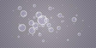 Colorful soap bubbles. Isolated, transparent, realistic soap bubbles. vector