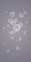 Colorful soap bubbles. Isolated, transparent, realistic soap bubbles. vector