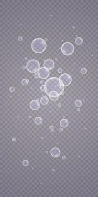 Colorful soap bubbles. Isolated, transparent, realistic soap bubbles.
