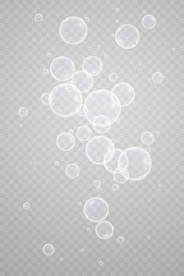 Colorful soap bubbles. Isolated, transparent, realistic soap bubbles.