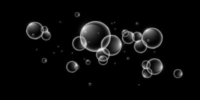 vistoso jabón burbujas aislado, transparente, realista jabón burbujas vector
