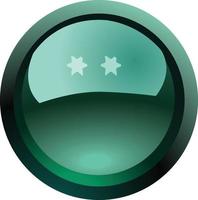 beautiful shiny glossy button vector