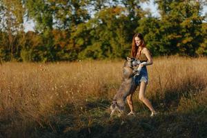 A woman plays and dances with a husky breed dog in nature in autumn on a field of grass and smiles at a good evening in the setting sun photo