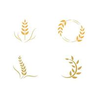 Agriculture wheat vector