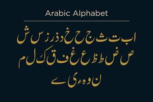 Arabic Alphabet Calligraphy Fonts Style vector