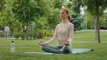 ung kvinna håller på med yoga i natur video