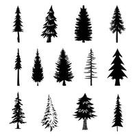 13 professional pine trees silhouette vector