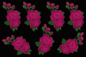 pink rose illustration black background photo