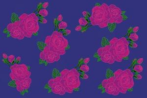 pink rose illustration blue background photo