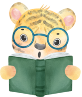 fofa aguarela safári tigre animais criança costas para escola lendo livro desenho animado png