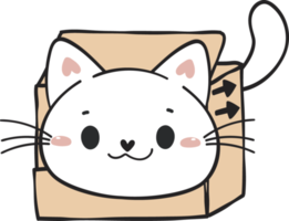 cute funny playful naughty white kitty cat pet in cardboard box animal doodle drawing png