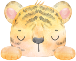 söt bebis tiger oskuld ansikte huvud med Tass hand vattenfärg illustration png
