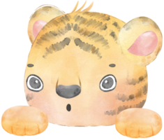 carino bambino tigre innocenza viso testa con zampa mano acquerello illustrazione png