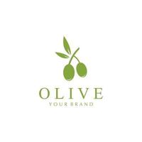 olive icon vector illustration