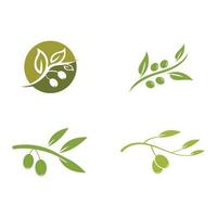 olive icon vector illustration