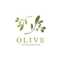 olive icon vector illustration