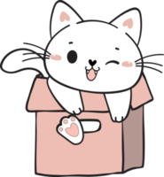 fofa engraçado brincalhão danadinho branco gatinha gato animal dentro cartão caixa animal rabisco desenhando png