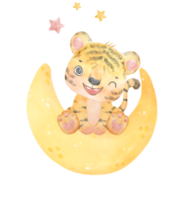 fofa doce inocência bebê tigre em sonhadores crescente lua Estágio criança berçário aguarela ilustração png