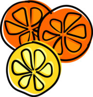 cute orange fruits and vegetable funky quirky hand drawing doodle png