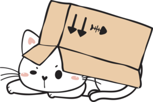 cute funny playful naughty white kitty cat pet in cardboard box animal doodle drawing png