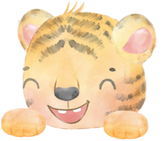 cute baby tiger innocence face head with paw hand watercolour illustration png