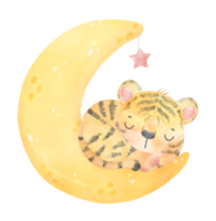 carino dolce innocenza bambino tigre su sognante mezzaluna Luna fase ragazzo asilo acquerello illustrazione png