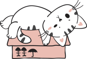 cute funny playful naughty white kitty cat pet in cardboard box animal doodle drawing png