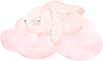 bezaubernd wunderlich glücklich Süss Baby Rosa Hase Hase Aquarell auf Sanft Rosa Wolke Kinder Illustration png