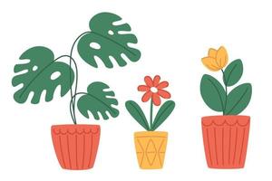 Set of indoor plants in modern pots in flat style vector